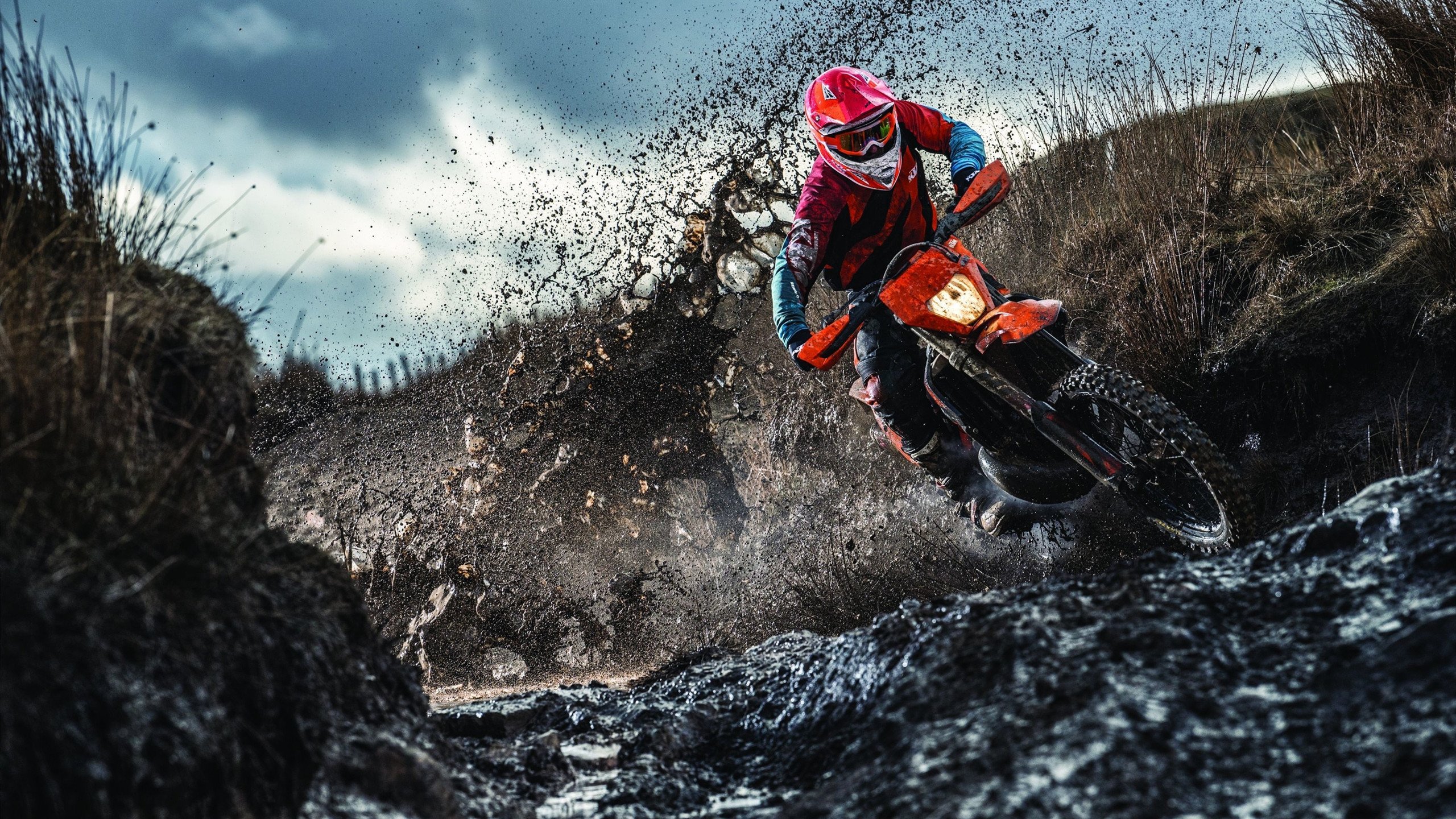 开云体育网站入口-绿色能源项目:F1新能源未来,绿色能源gsc